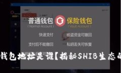 SHIB第一个钱包地址是谁？揭秘SHIB生态的起源与发