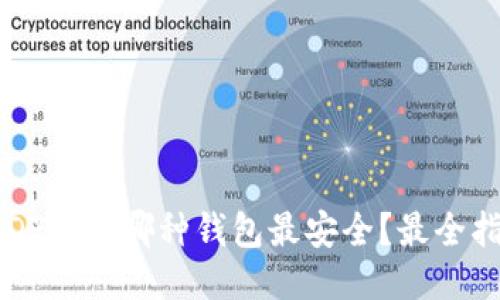 标题: USDT使用哪种钱包最安全？最全指南与推荐