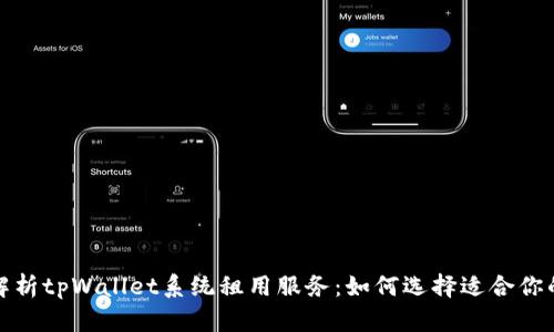 全面解析tpWallet系统租用服务：如何选择适合你的方案