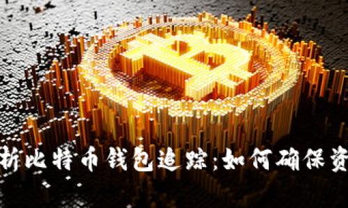 全面解析比特币钱包追踪：如何确保资金安全