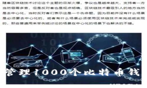 如何选择及管理1000个比特币钱包：全面指南