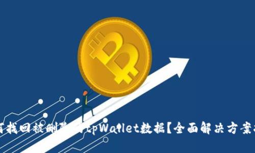 如何找回被删除的tpWallet数据？全面解决方案指南