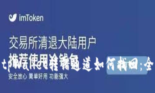 标题: tpWallet转错通道如何找回：全面指南