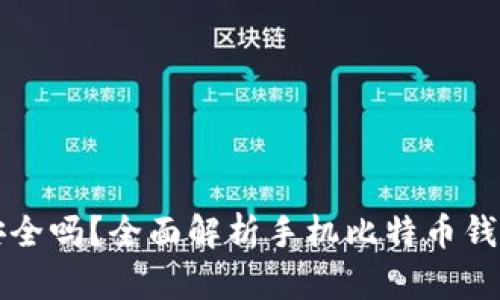 手机下载比特币钱包安全吗？全面解析手机比特币钱包的安全性及保护措施