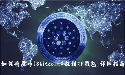 如何将屎币（Shitcoin）提到TP钱包：详细指南