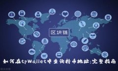 如何在tpWallet中查询持币地