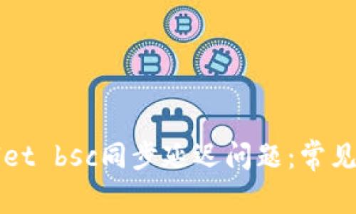 如何解决tpWallet bsc同步延迟问题：常见原因与解决方案