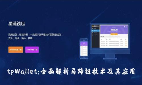 tpWallet：全面解析马蹄链技术及其应用