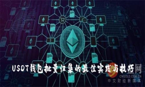 USDT钱包批量归集的最佳实践与技巧