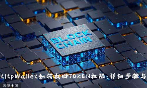 ziaotitpWallet如何找回TOKEN权限：详细步骤与技巧