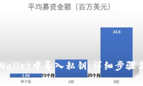 如何在tpWallet中导入私钥：详细步骤与注意事项