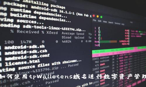 如何使用tpWalletens域名进行数字资产管理