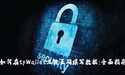 如何在tpWallet上链正确填写数据：全面指南