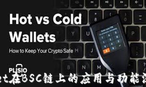 
tpWallet在BSC链上的应用与功能深度解析