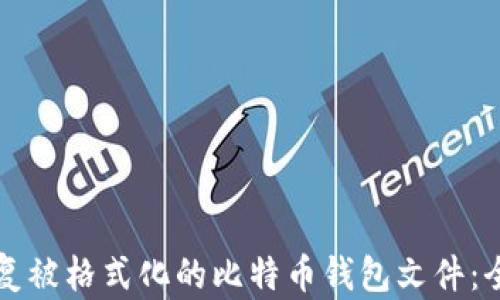 
如何恢复被格式化的比特币钱包文件：全面指南