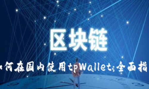 如何在国内使用tpWallet：全面指南