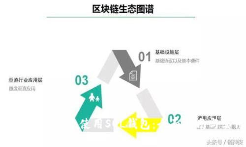 如何在手机上安全使用SOL钱包：全面指南与实用技巧