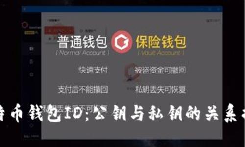 比特币钱包ID：公钥与私钥的关系揭秘