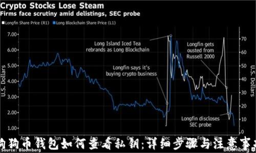 
狗狗币钱包如何查看私钥：详细步骤与注意事项