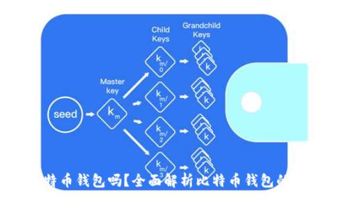 必须要有比特币钱包吗？全面解析比特币钱包的必要性和选择