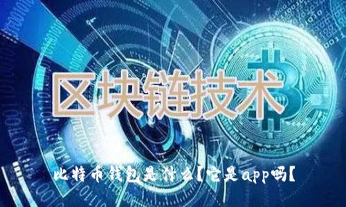 比特币钱包是什么？它是app吗？