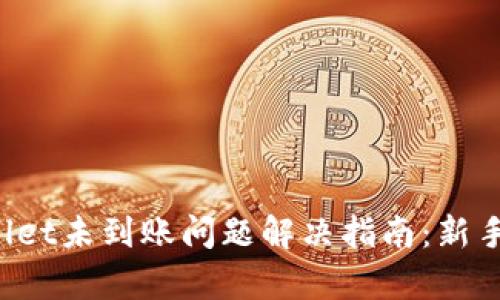 tpWallet未到账问题解决指南：新手必看！