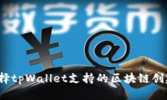 如何选择tpWallet支持的区块